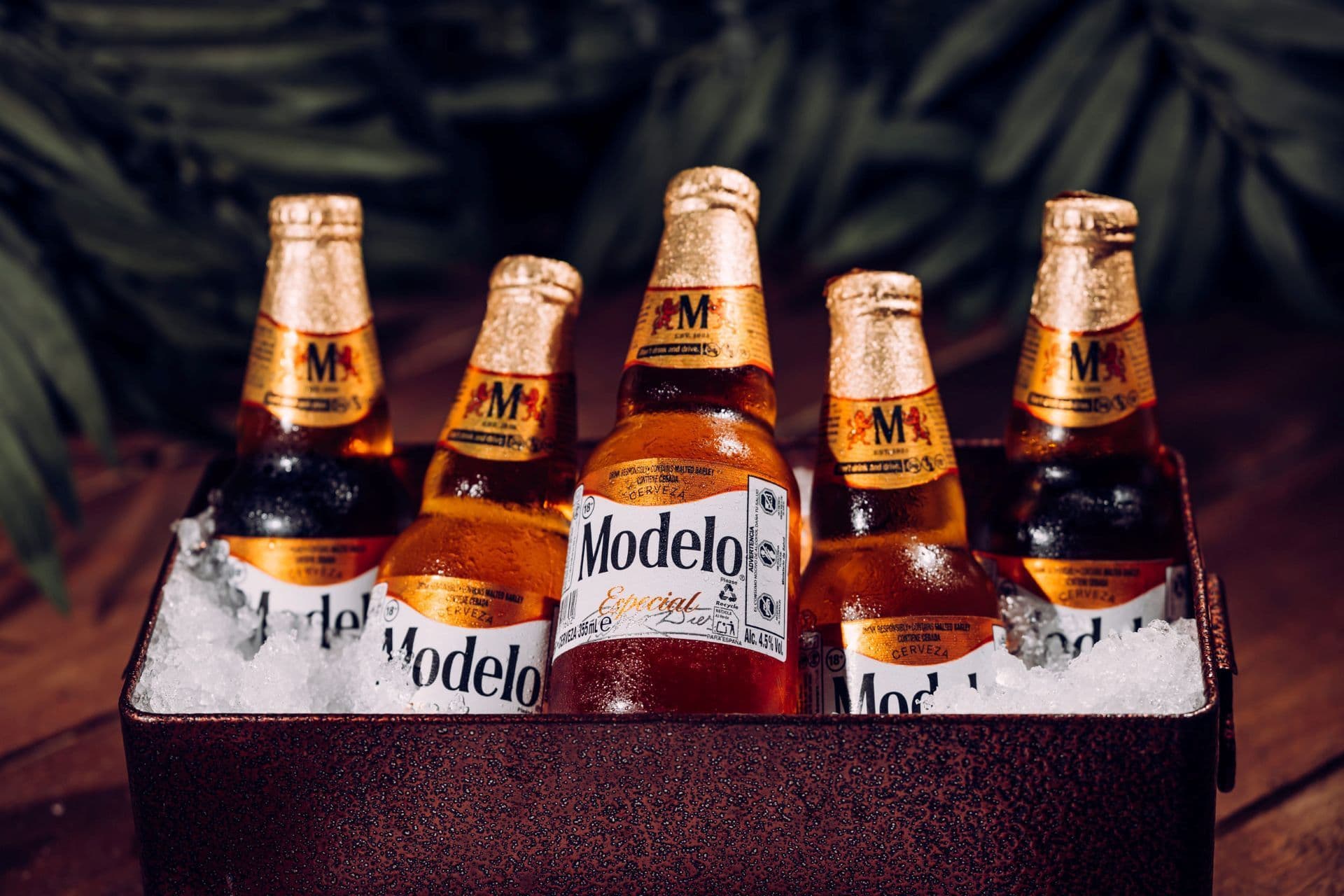 Modelo bottles displayed in a tray of ice