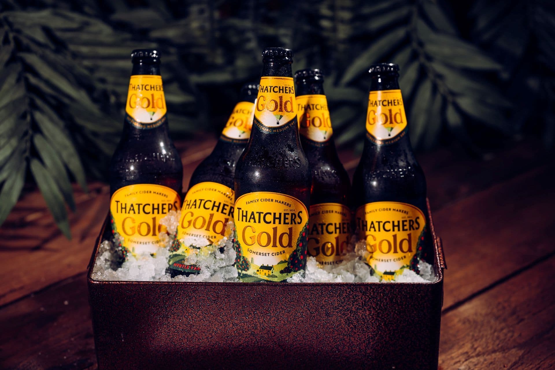 Bottles of Thatchers displayed in a tray of ice.
