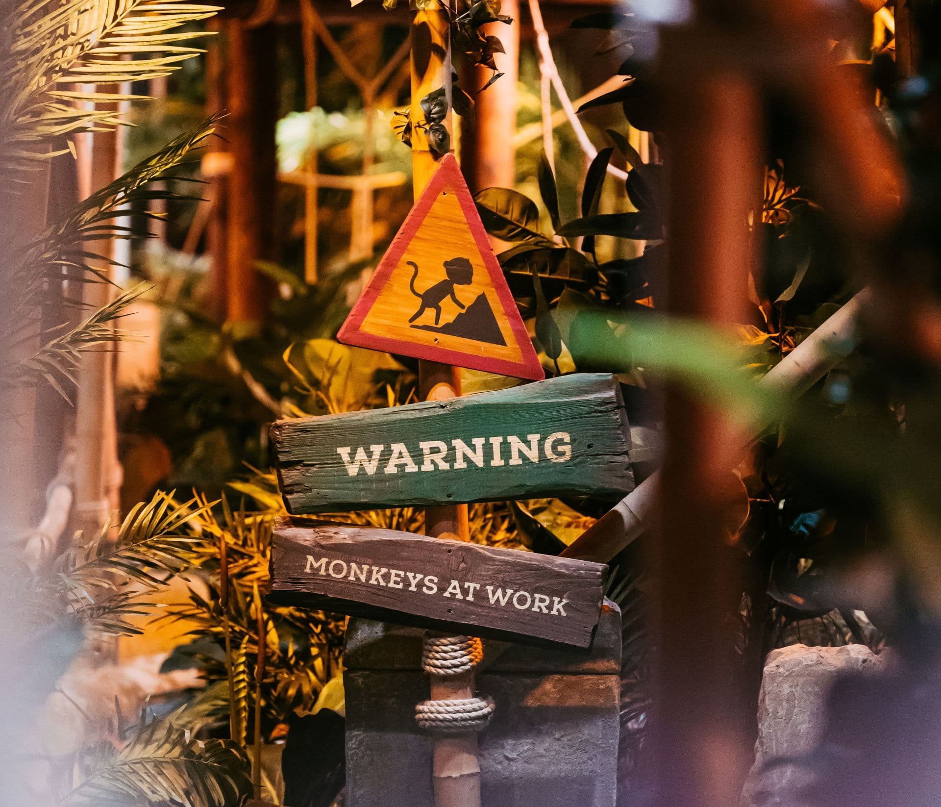 An image of signs warning Treetop tourists of ‘monkeys at work’, etched out of rustic pieces of wood.