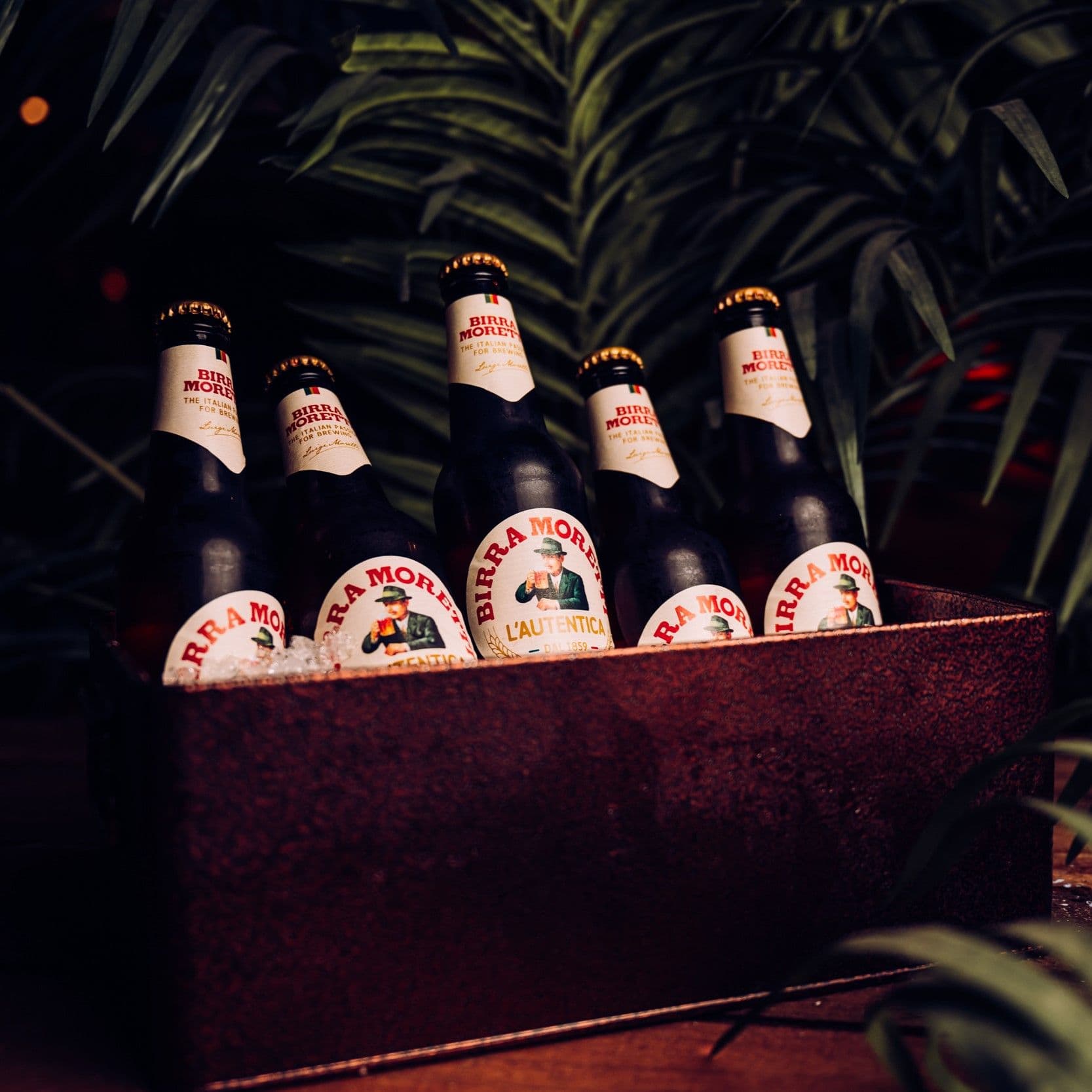 A bucket of Birra Moretti beer bottles.