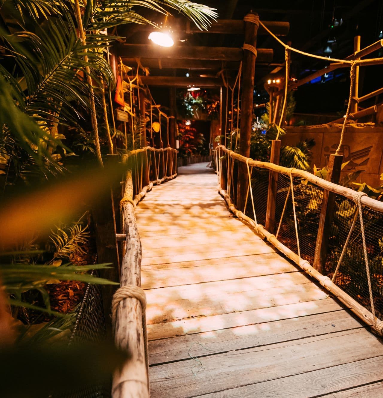 A wooden bridge with rope hand rails and green foliage on the left.