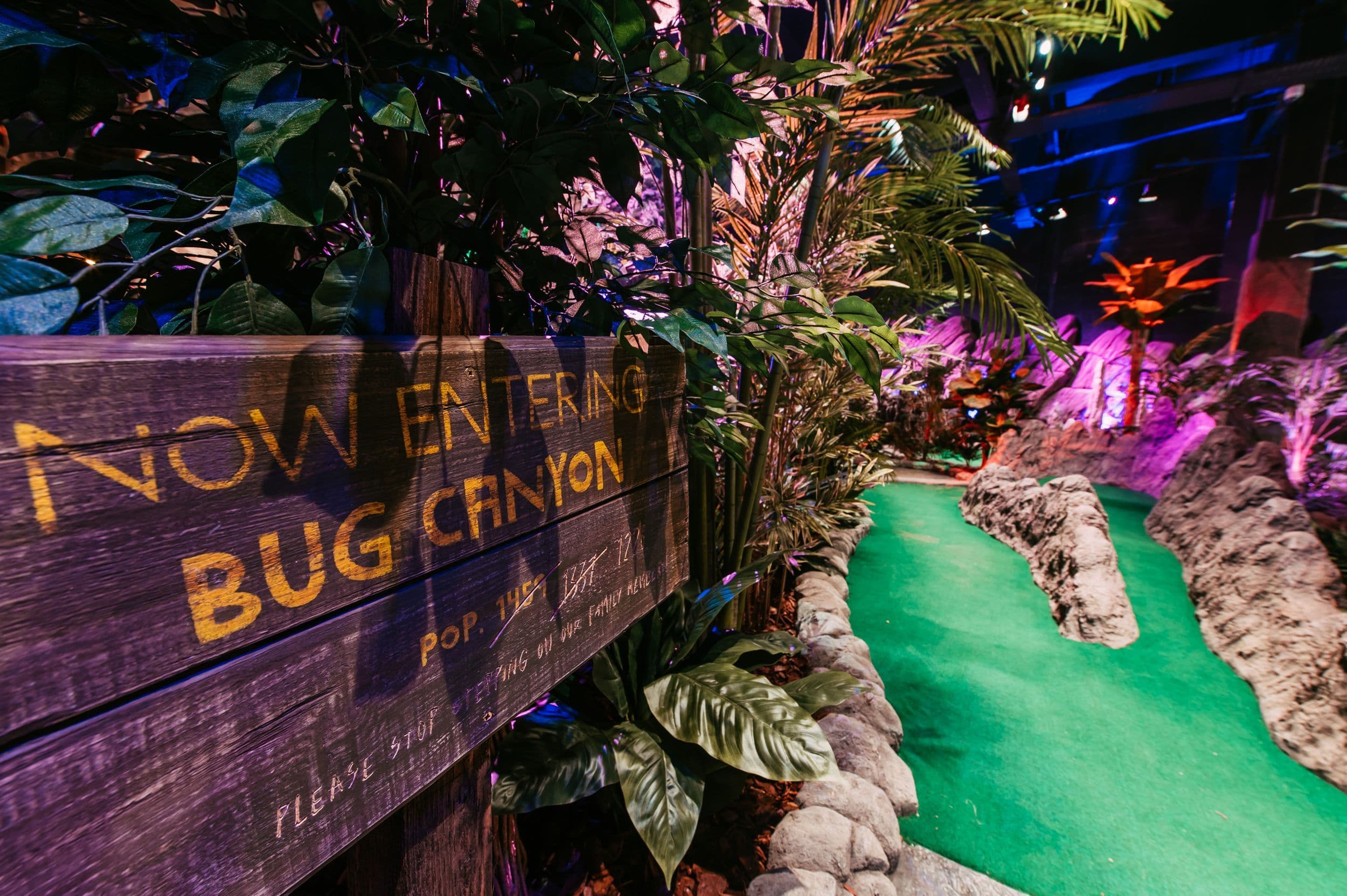 A sign that says now entering bug canyon.