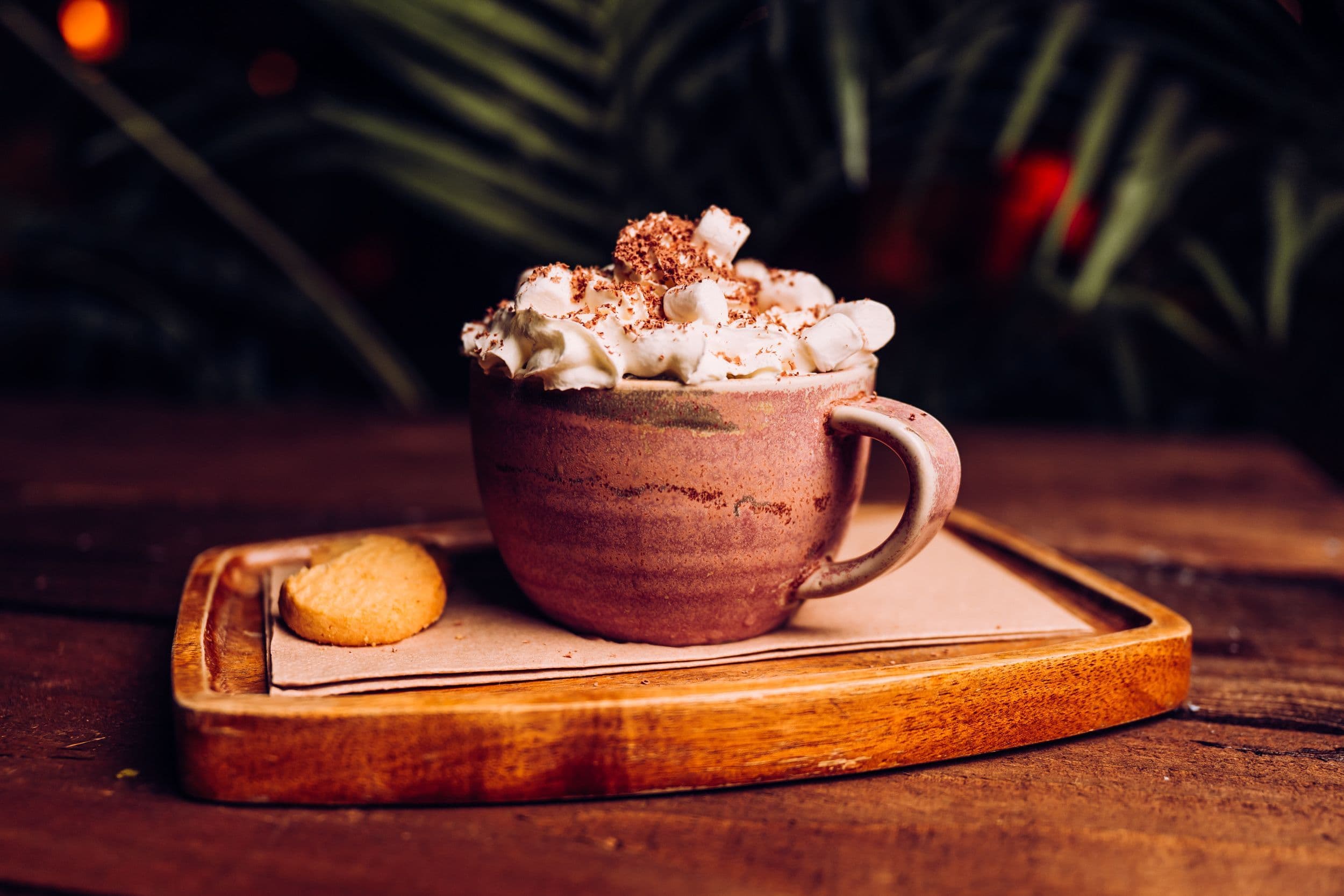 A ho ho hot chocolate displayed with a biscuit at Treetop Golf.