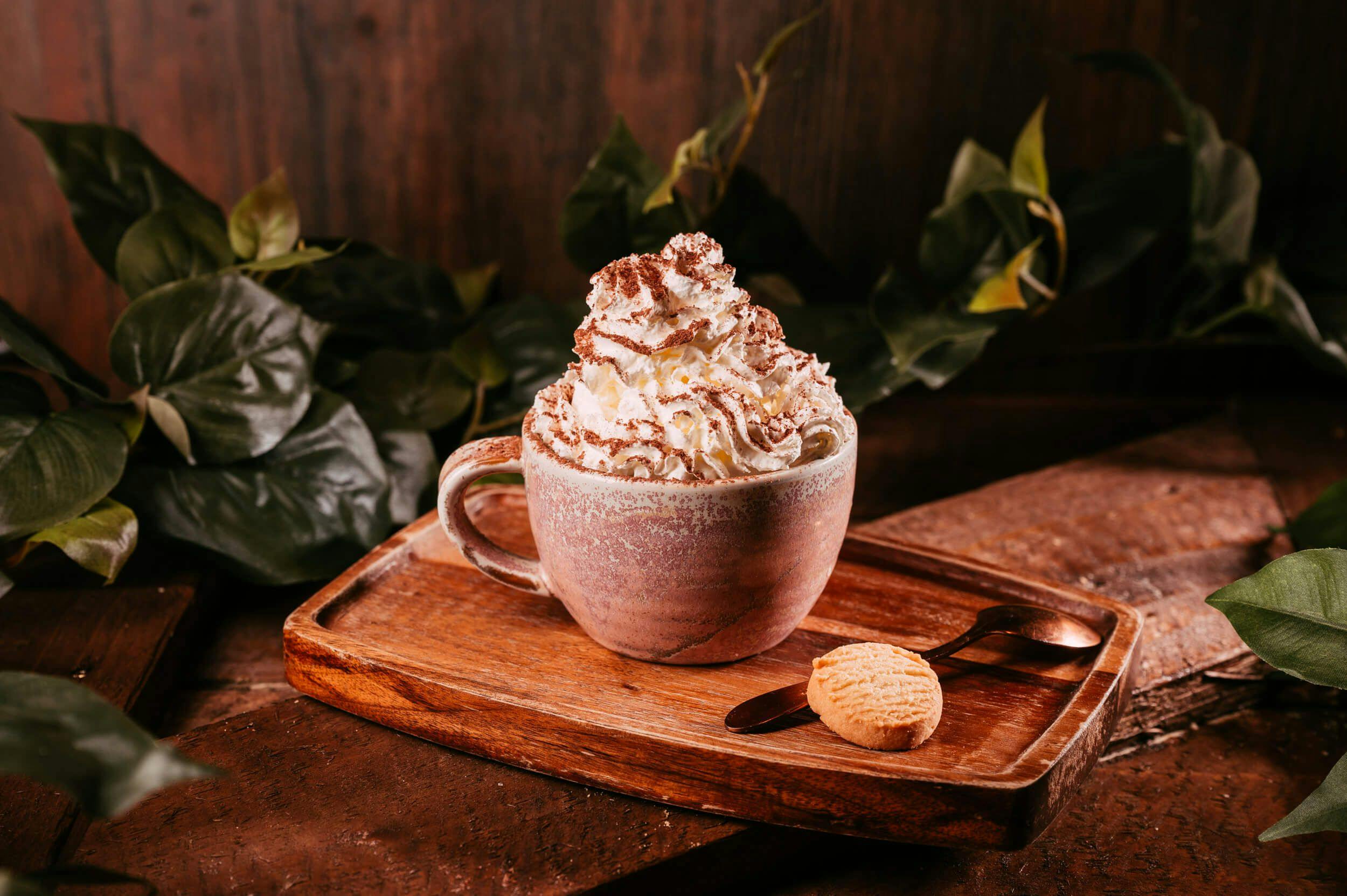 Image of a decadent hot chocolate covered in whip cream with a small biscuit on a wooden tray.