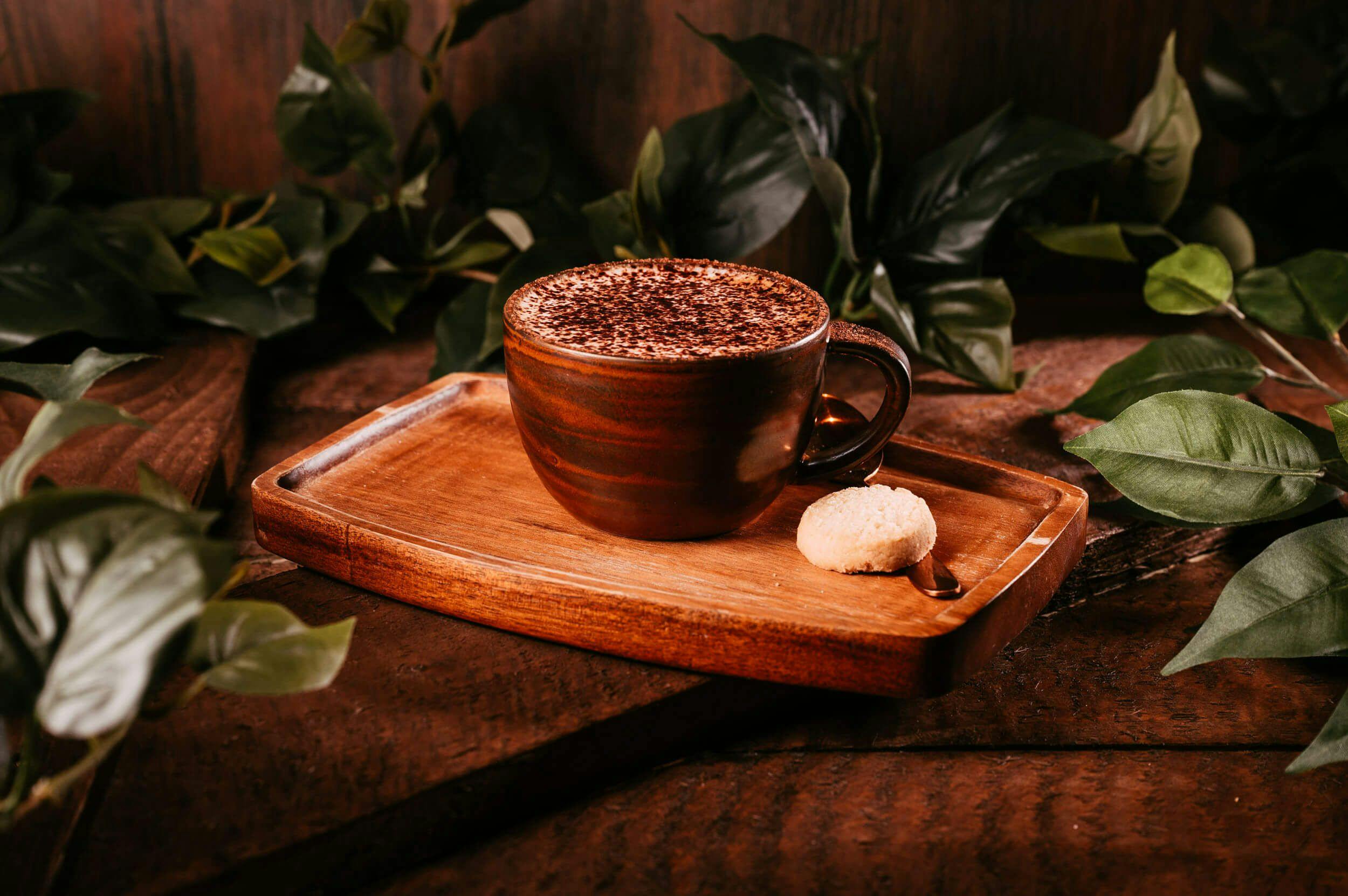 Image of a cappuccino with a small biscuit on a wooden tray nestled in some green foliage.
