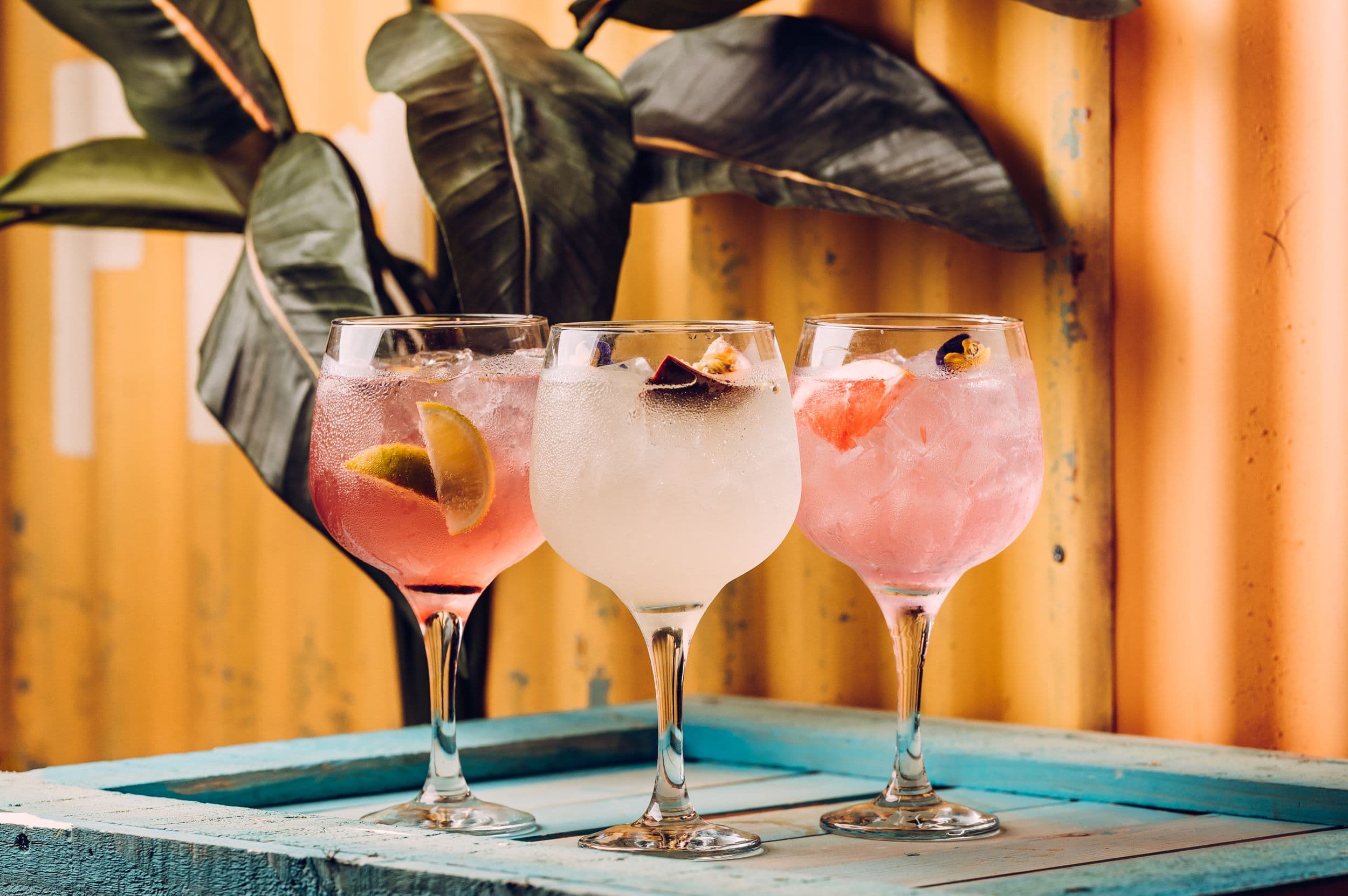 Three summer drinks with green foliage in the background.