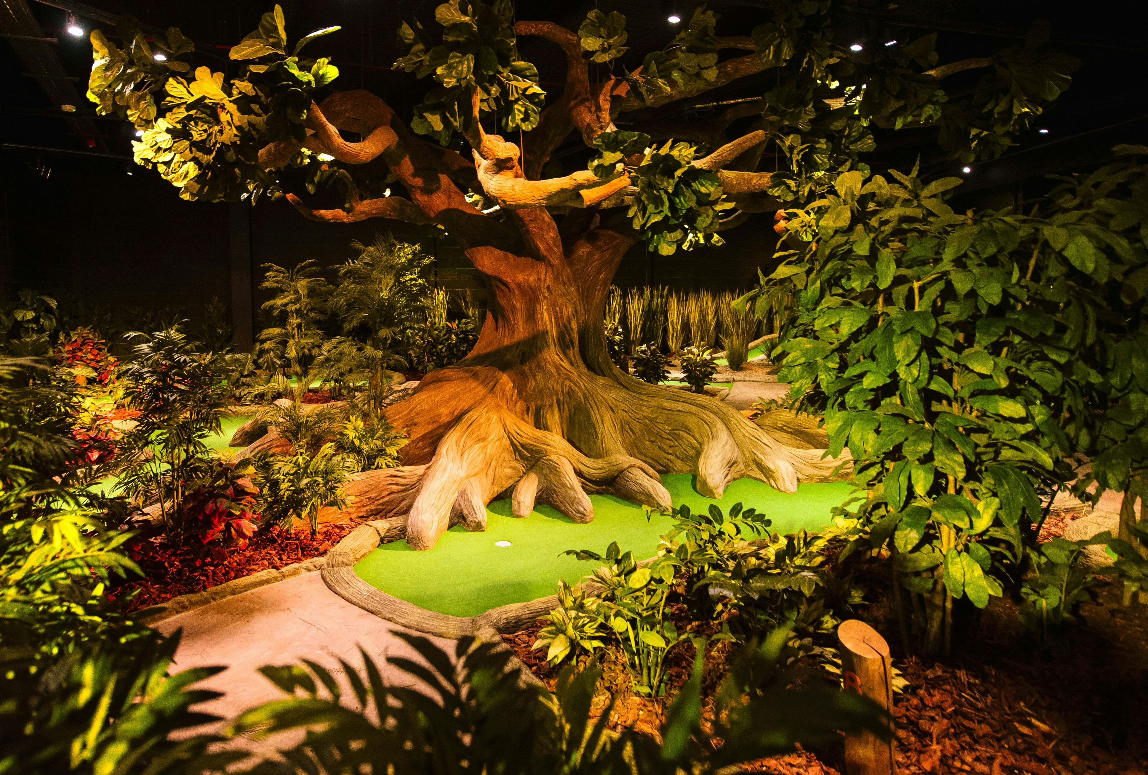 Image of the Mystic Woods hole, with thick jungle foliage and deep roots surrounding the mini golf green.